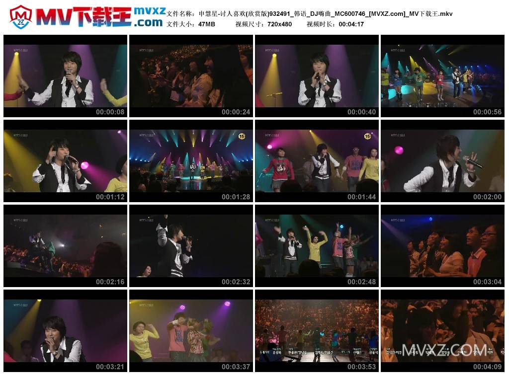 申慧星-讨人喜欢(欣赏版)932491_韩语_DJ嗨曲_MC600746